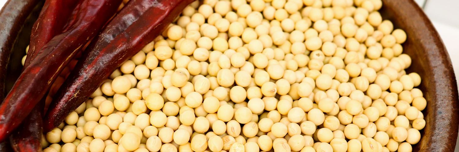 新香蕉视频在线观看